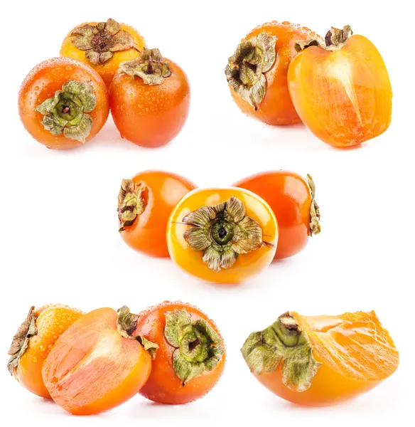 Collection of Persimmon — Stock Photo, Image