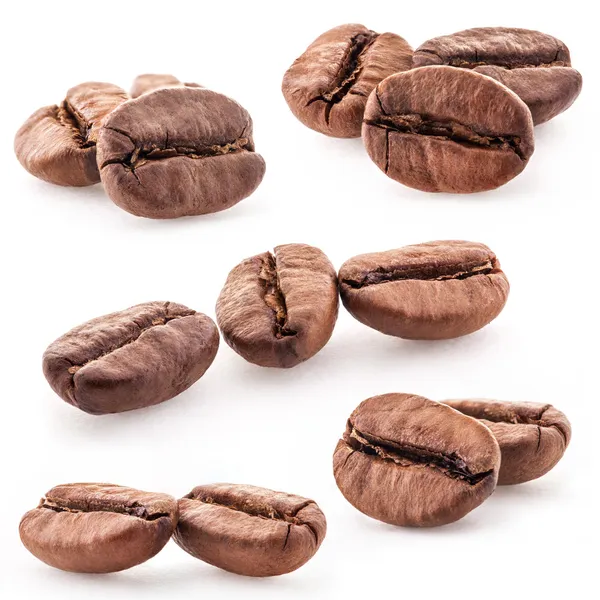 咖啡豆的集合 — 图库照片