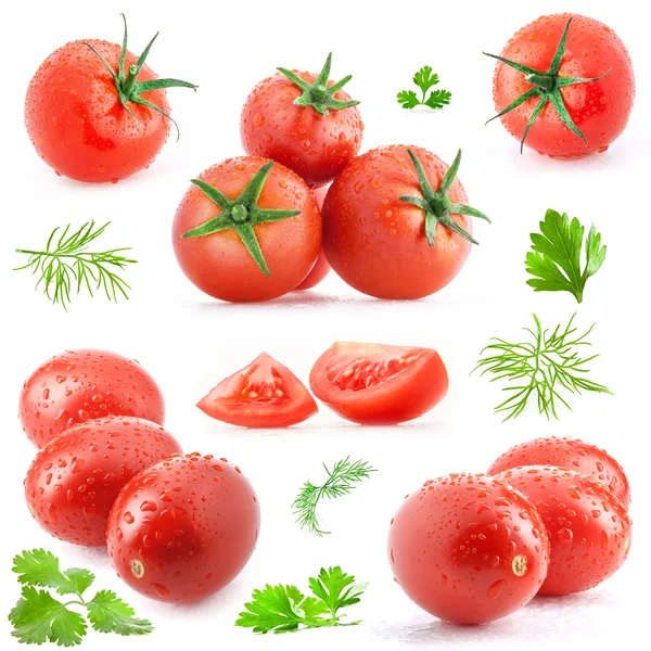 Raccolta di pomodori e foglie verdi — Foto Stock