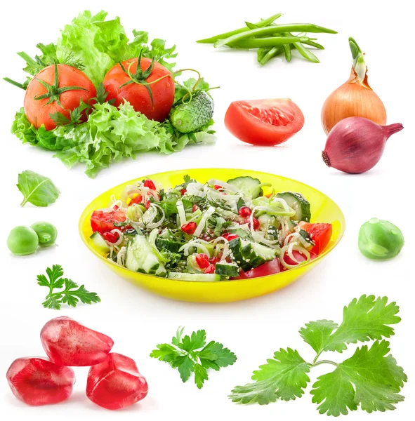 Zbiór warzyw i świeże sałatki — Zdjęcie stockowe