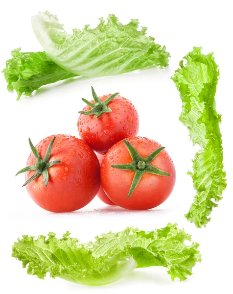 Salat und Tomaten — Stockfoto