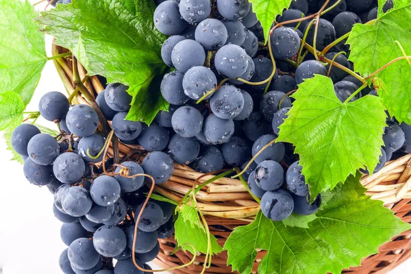 Uvas escuras em uma cesta de vime — Fotografia de Stock