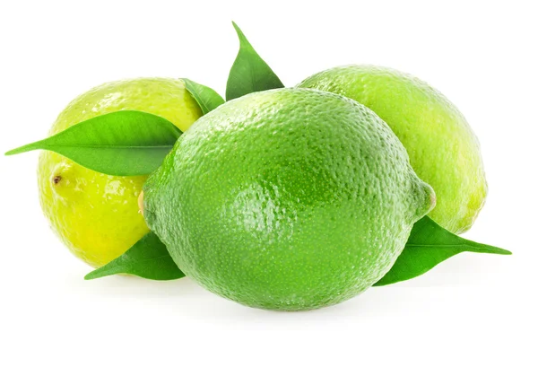 Fresh lime Stock Photo