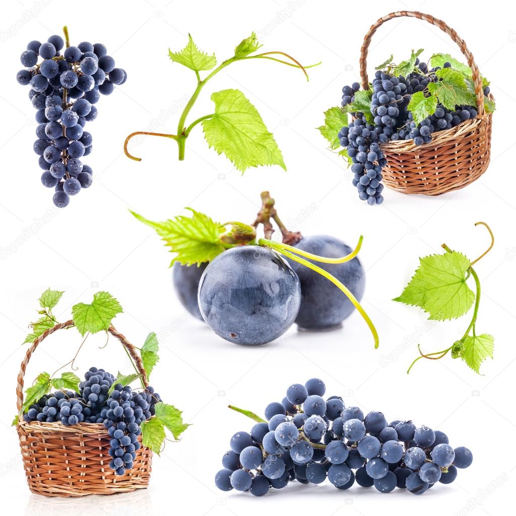 Collections of Dark grapes