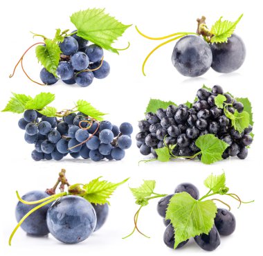 Collections of Dark grapes clipart