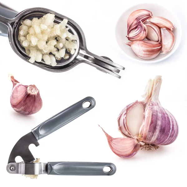 Collection of Garlic press with garlic — Stock Photo, Image
