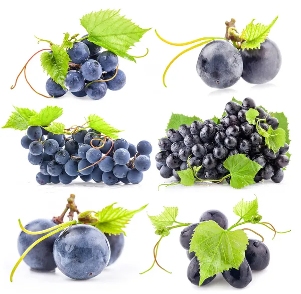 Collections of Dark grapes Stock Picture