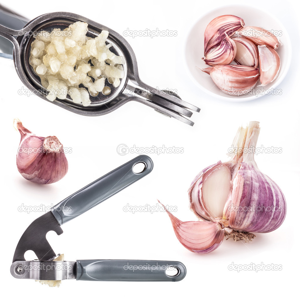 Collection of Garlic press with garlic