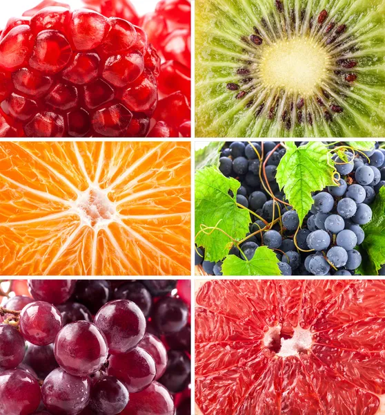 Fruits fond — Photo