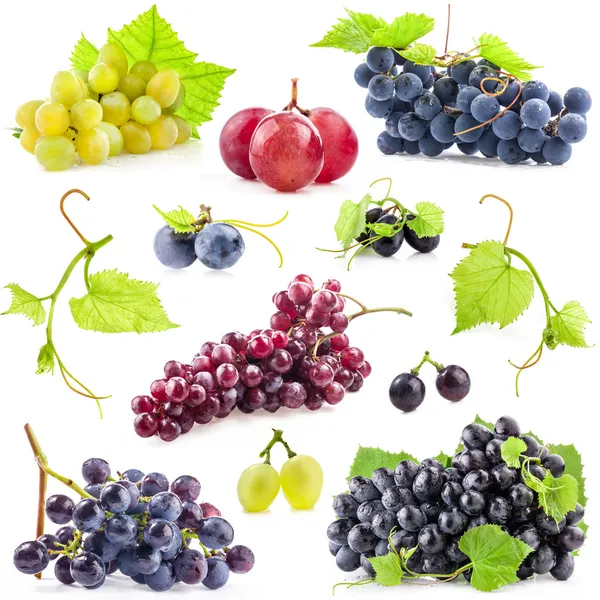 Collection of grapes — Stock Photo, Image