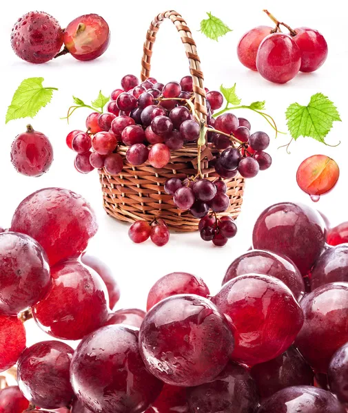 Collecties van druiven — Stockfoto