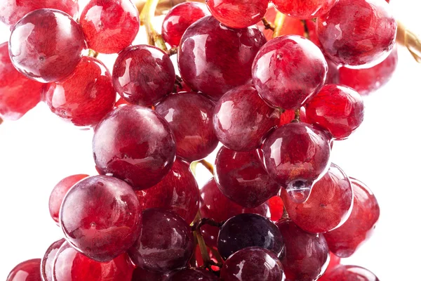 Grape with water drops — Stock Photo, Image