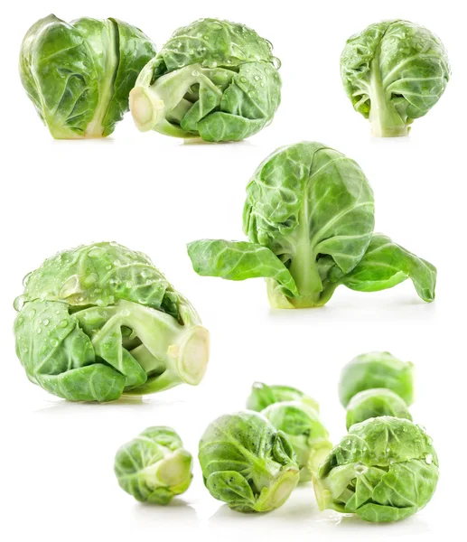 Fresh green Brussels sprouts — Stock Photo, Image