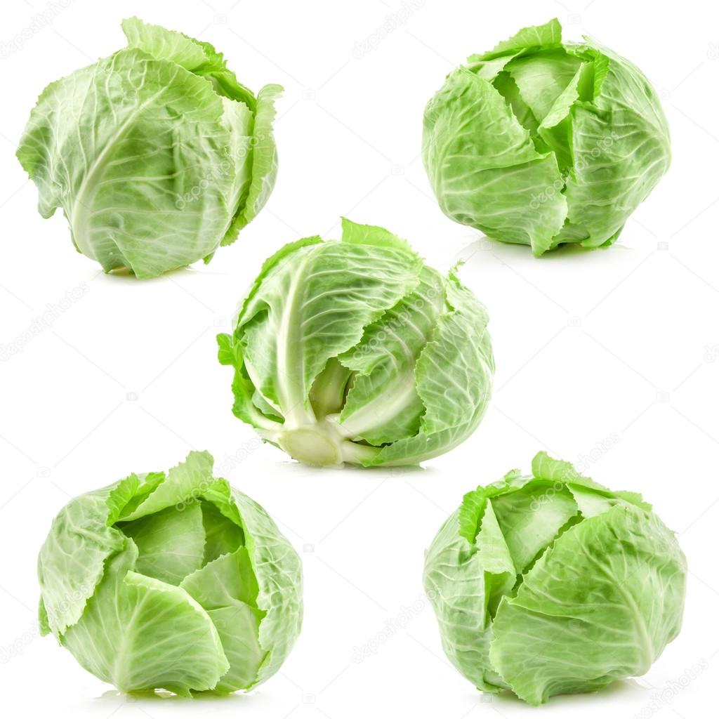 Collection of green cabbage