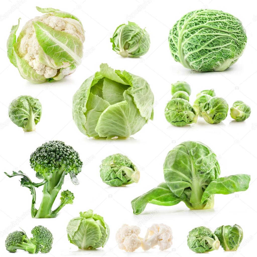 Collection of fresh cabbage