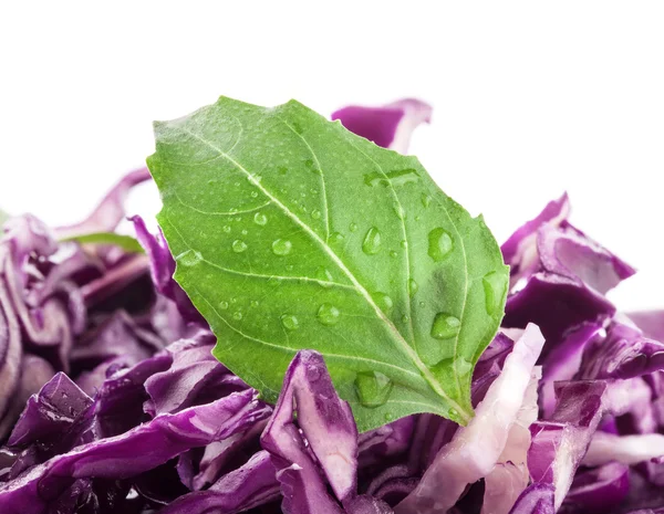 Red cabbage salad with basil leaves — Stock Photo, Image