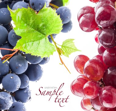 Grapes with leaves clipart