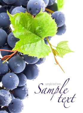 yaprakları ile üzüm