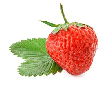 çilek berry