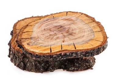 meyve ağacı kaba kesim