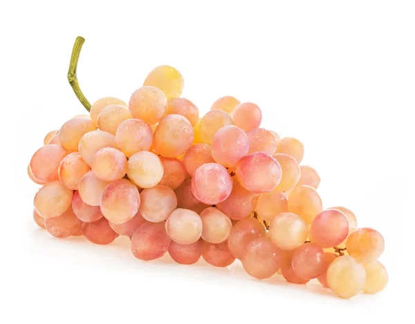 Witte druif met waterdruppels — Stockfoto