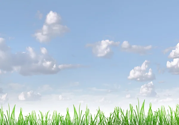 Green grass and blue sky — Stock Photo, Image