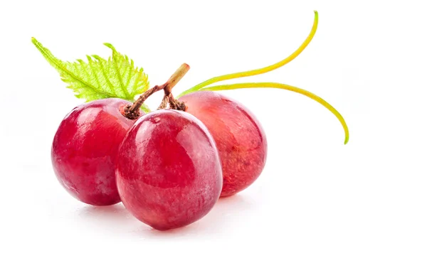 Ripe red grapes with leaves — Stock Photo, Image