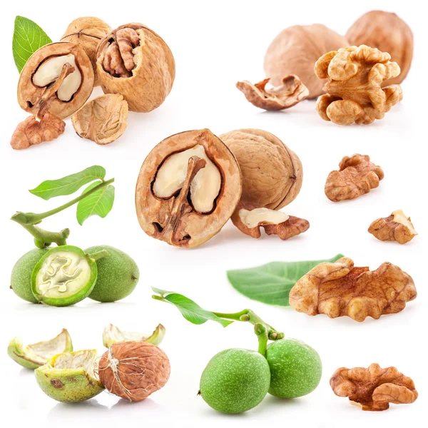 Colecciones de nueces —  Fotos de Stock