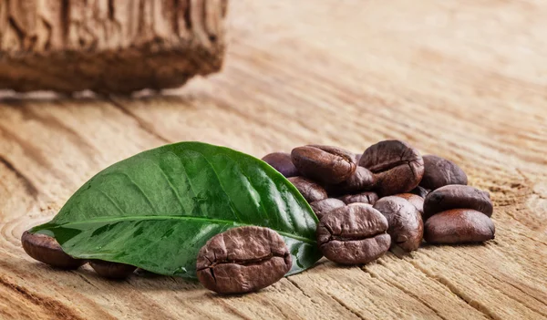 Kávové zrna a zelený list — Stock fotografie