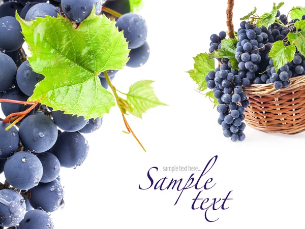 yaprakları ile üzüm