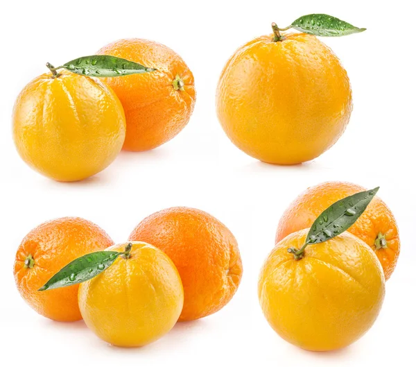Owoc pomarańcze — Zdjęcie stockowe
