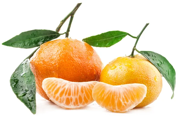 Fruta de la mandarina —  Fotos de Stock