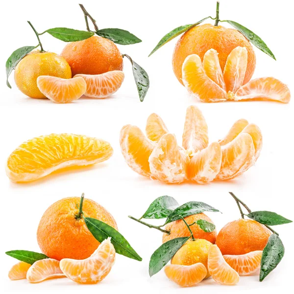 Collecties van mandarijnen — Stockfoto