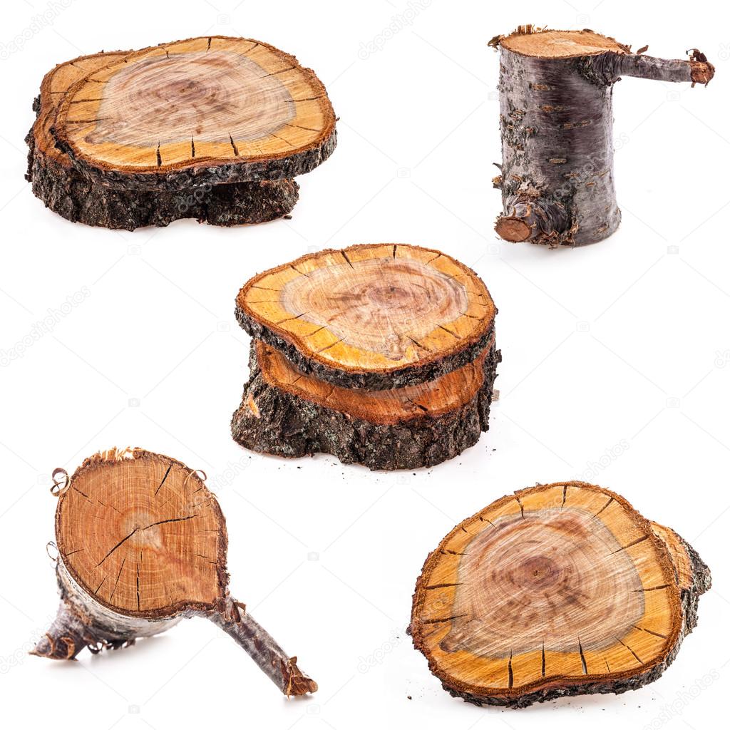 Collection of rough cut of fruit tree