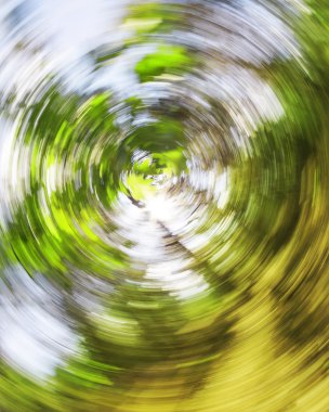 Radyal çekimde bahar yaprakları