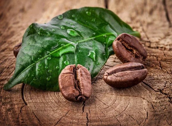 Coffee grains and green leaf — Stock Photo, Image