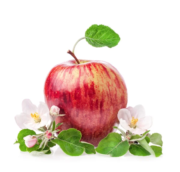 Červené jablko s květinami — Stock fotografie