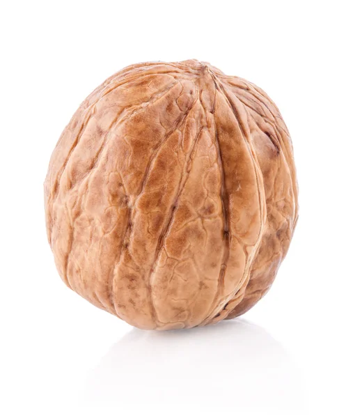 Walnut — Stock Photo, Image