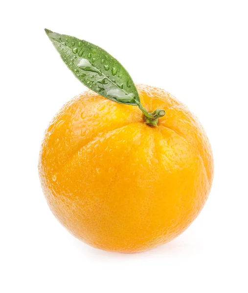 Orangenfrucht — Stockfoto