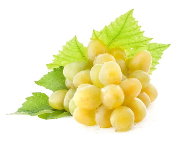 Grapes with leaves — Stock Photo, Image