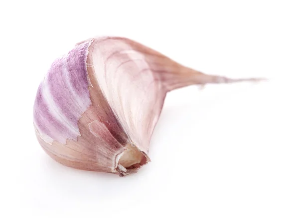 Garlic clove — Stock Photo, Image