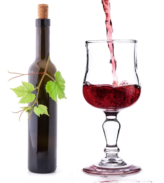 Viinipullo — kuvapankkivalokuva