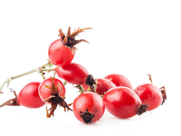 Rose hips