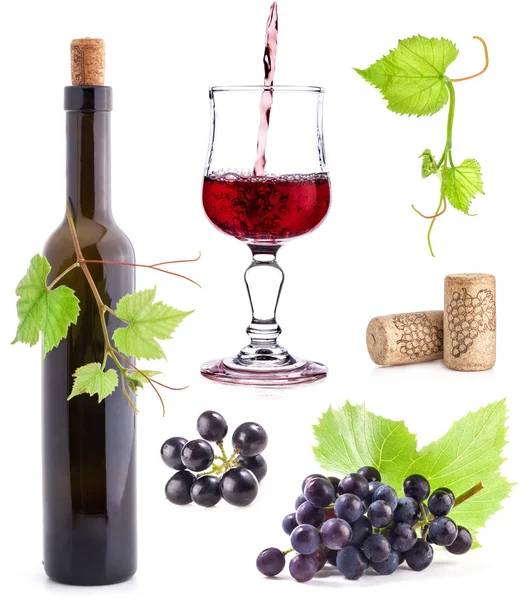 Collection of Dark grapes Stock Photo