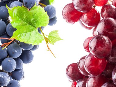 Ripe dark and red grapes with leaves clipart