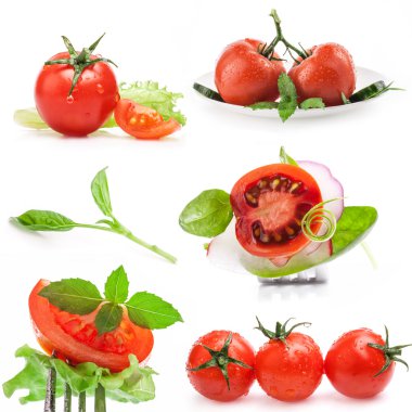 Collections of Tomatoes clipart