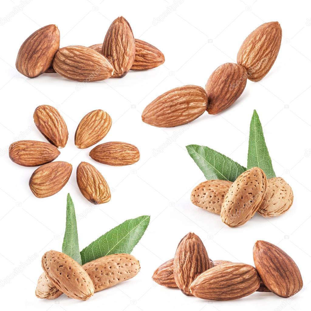Collection of almond nuts