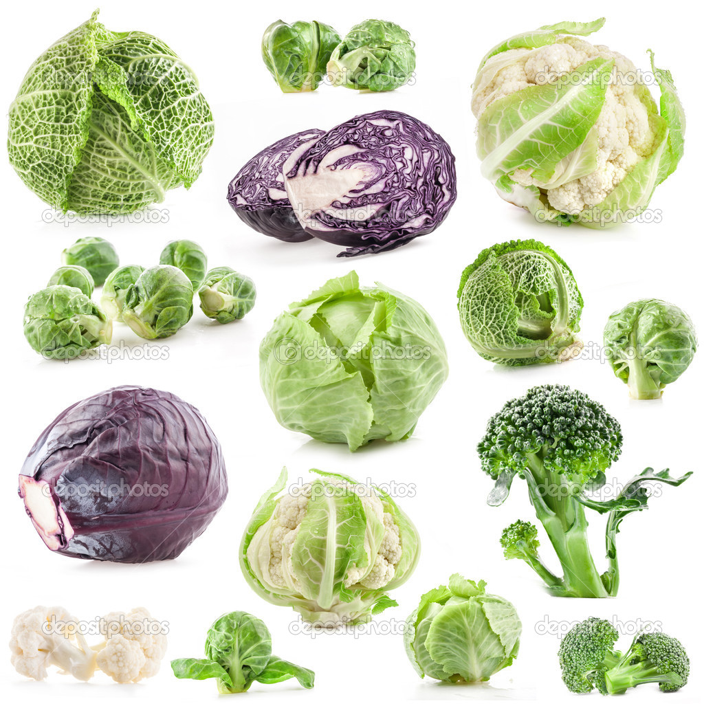 Collection of fresh cabbage