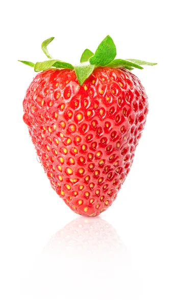 Strawberry menutup — Stok Foto