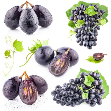 Ripe dark grapes with leaves clipart